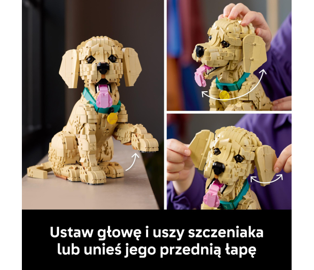 LEGO ICONS 11384 Szczeniak golden retriever - 1488997 - zdjęcie 6